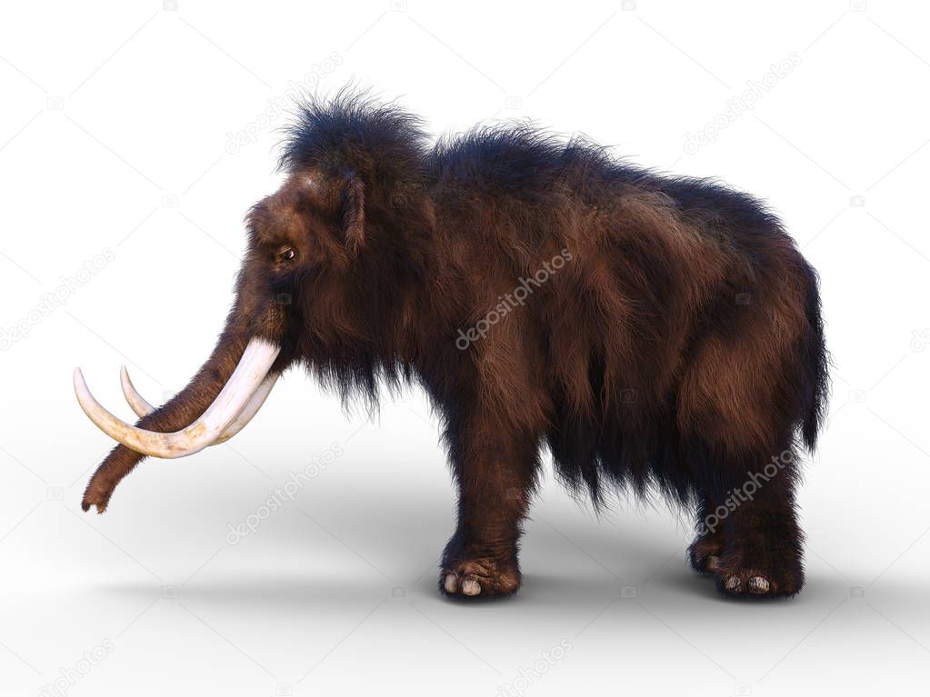 3D CG rendering of a mammoth