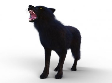 3d cg işleme bir kurt