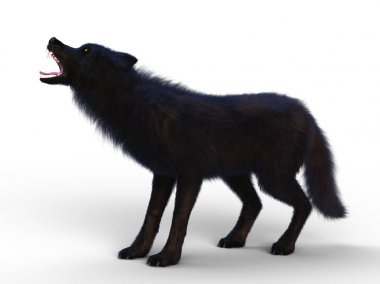 3d cg işleme bir kurt