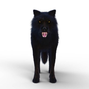 3d cg işleme bir kurt