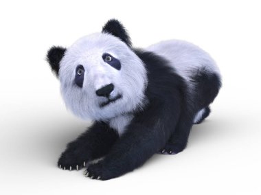 bir panda 3d cg render