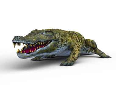 3d cg işleme bir timsah