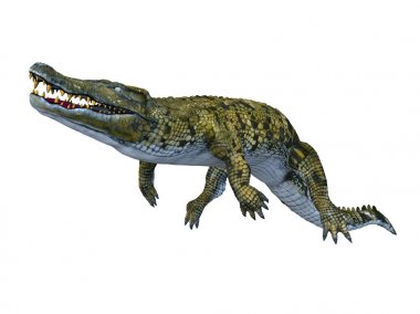 3d cg işleme bir timsah