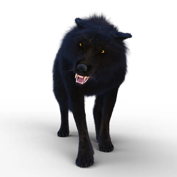 3D CG representación de un lobo —  Fotos de Stock