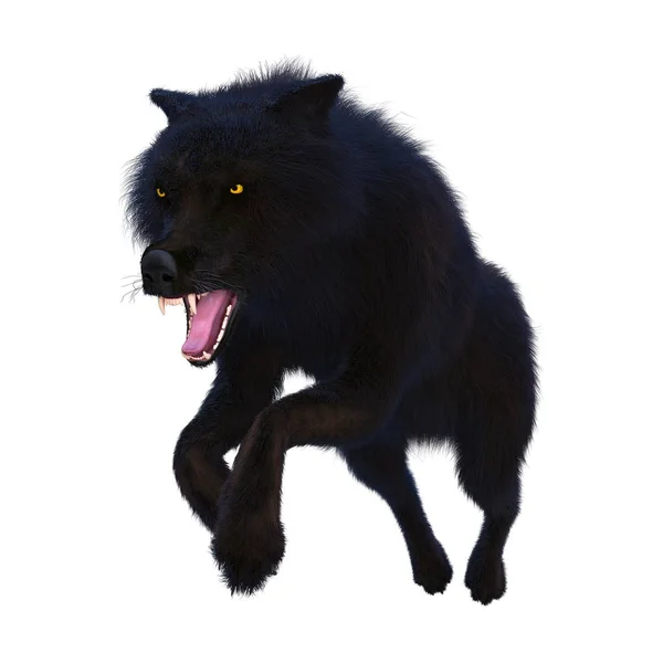 3D CG rendering of a wolf — Stock Photo, Image