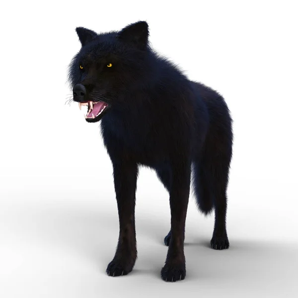 3D CG renderização de um lobo — Fotografia de Stock