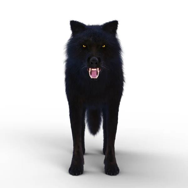 3d cg 渲染的一只狼 — 图库照片
