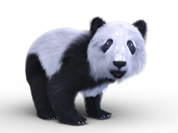 Renderowania 3D cg Panda — Zdjęcie stockowe