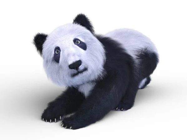 Renderowania 3D cg Panda — Zdjęcie stockowe