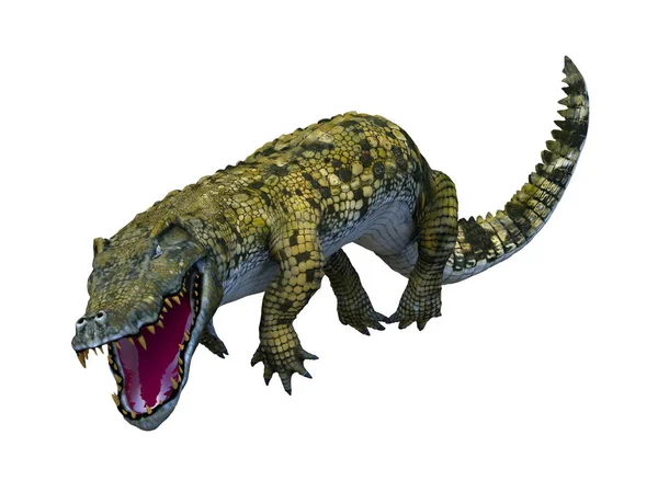 3D CG renderização de um crocodilo — Fotografia de Stock