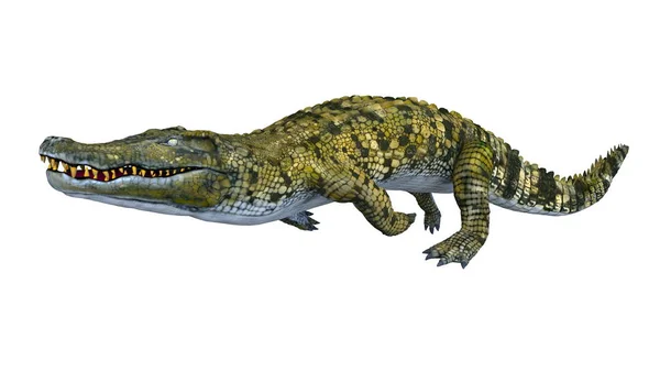 Rendu 3D CG d'un crocodile — Photo