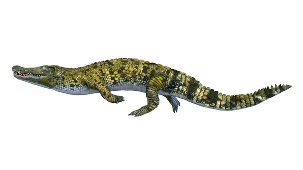 一条鳄鱼的 3d cg 渲染。 — 图库照片