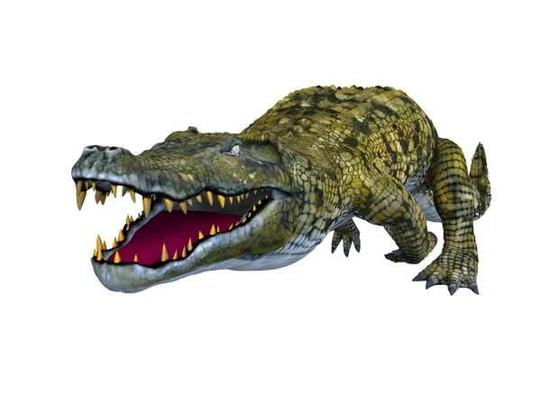3D CG renderização de um crocodilo — Fotografia de Stock