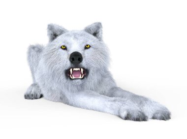 3d cg işleme Beyaz kurt