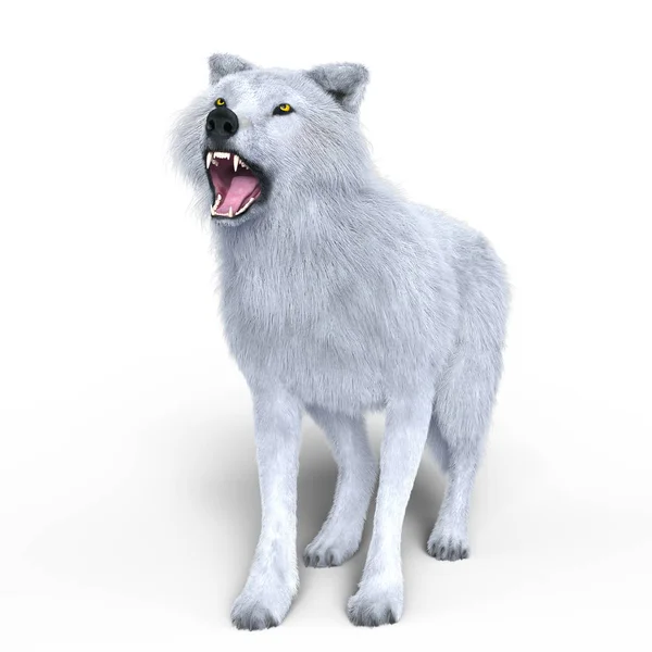 3D vykreslování cg bílého vlka — Stock fotografie