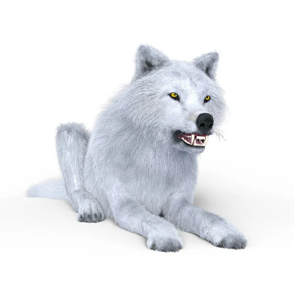 3D-cg rendering van een witte wolf — Stockfoto