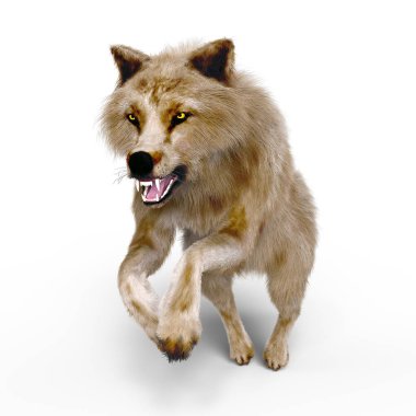 3d cg işleme bir kurt