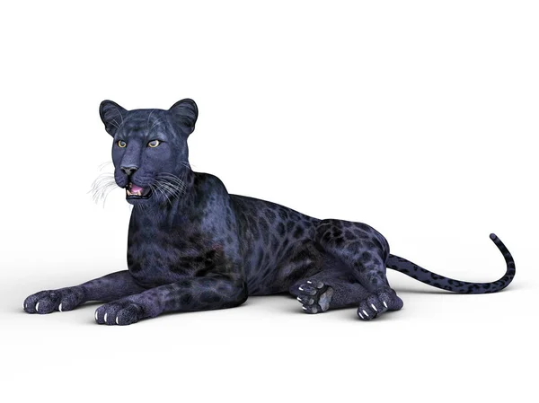 3D CG rendering of a black panther — Stock Photo, Image