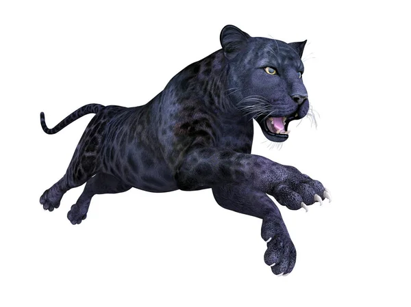3D CG renderização de uma pantera preta — Fotografia de Stock