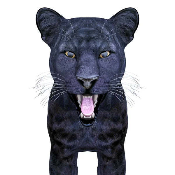 3D CG renderização de uma pantera preta — Fotografia de Stock