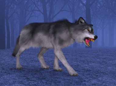 3d cg işleme bir kurt