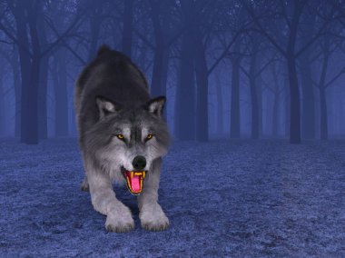 3d cg işleme bir kurt