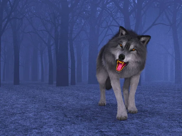 3D CG representación de un lobo — Foto de Stock