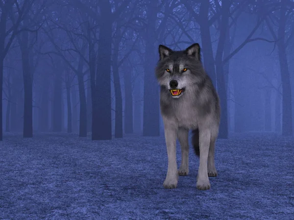 3d cg işleme bir kurt