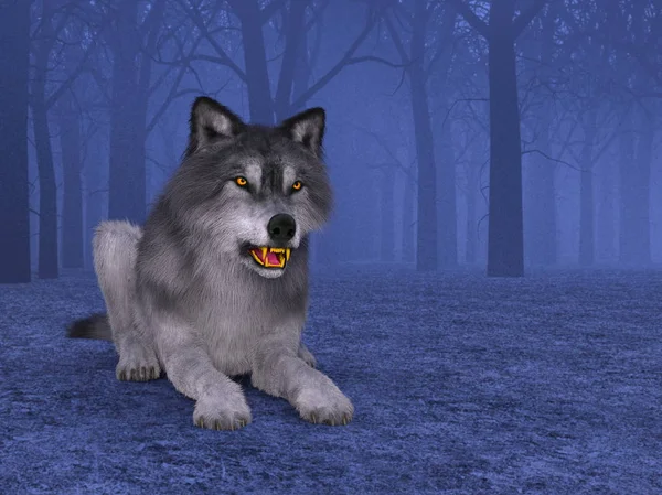 3d cg işleme bir kurt