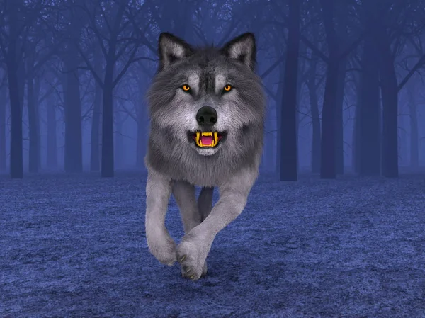 3d cg işleme bir kurt