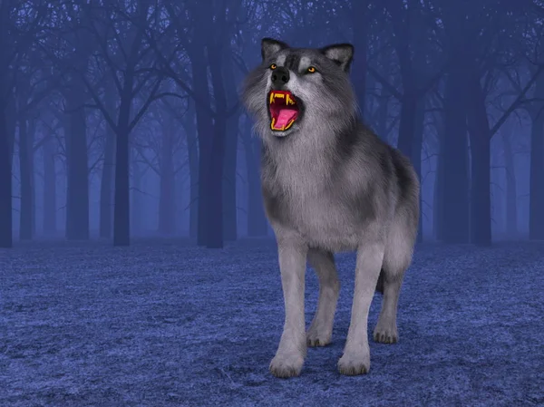 3d cg işleme bir kurt