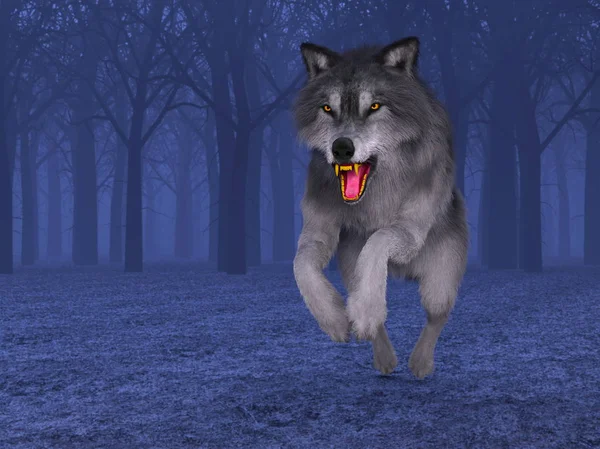 3d cg işleme bir kurt