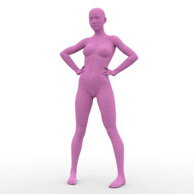 bir kadın bedeninin 3d cg render