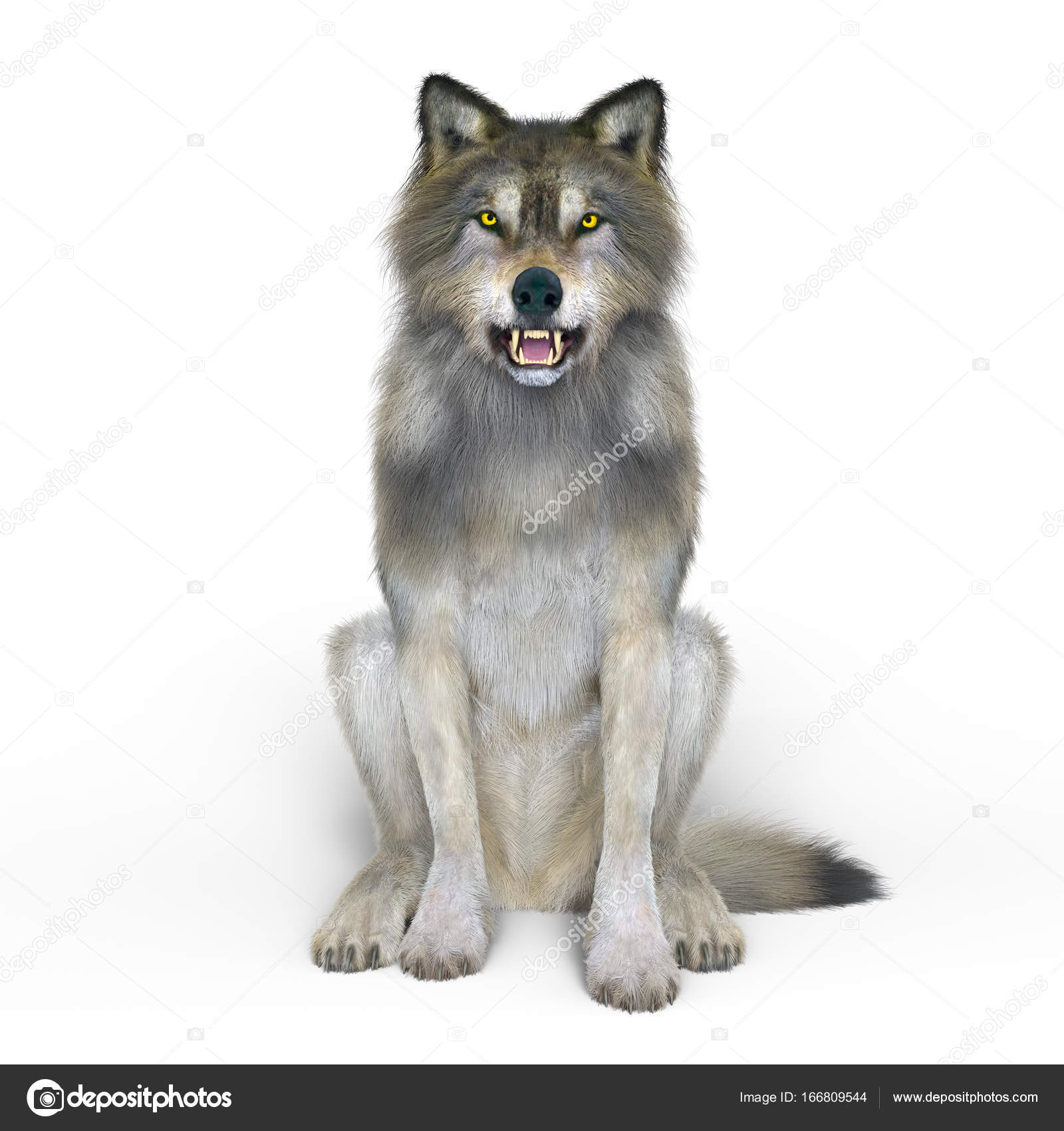 Manada de lobo fotos de stock, imágenes de Manada de lobo sin royalties |  Depositphotos