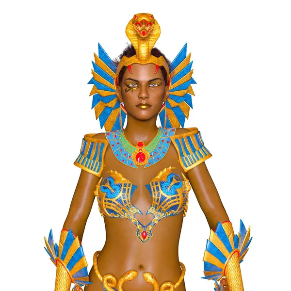 bir kadın şövalye 3d cg render