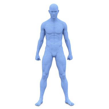 bir erkek vücudunun 3d cg işleme