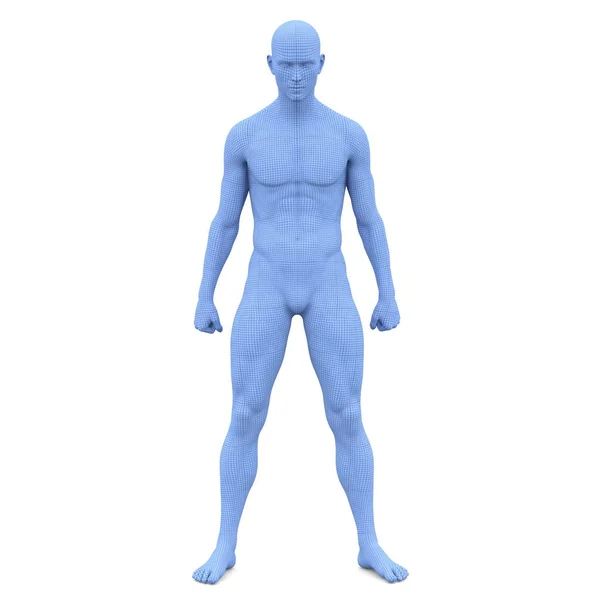 3D CG візуалізація чоловічого тіла — стокове фото