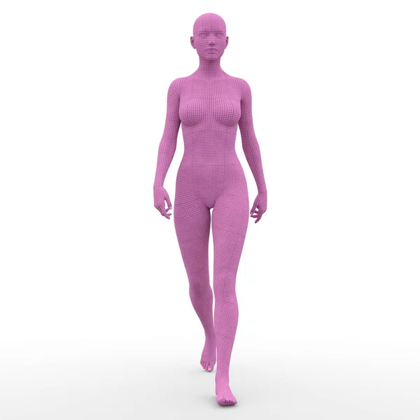 3D cg Darstellung eines weiblichen Körpers — Stockfoto