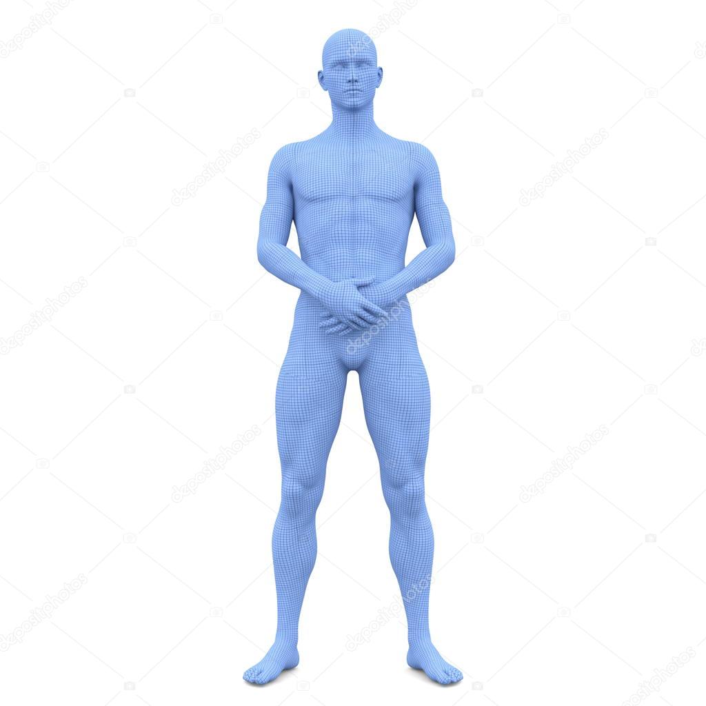 3D CG rendering of a male body