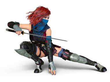 bir kadın şövalye 3d cg render