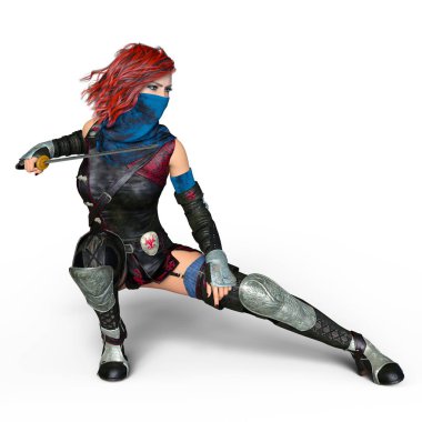 bir kadın şövalye 3d cg render