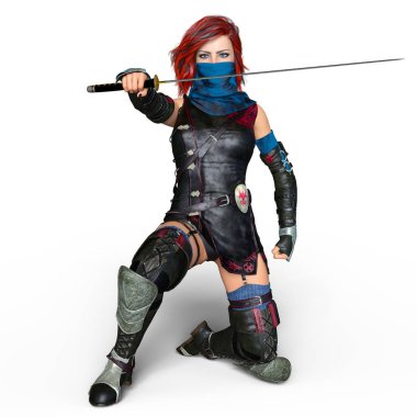 bir kadın şövalye 3d cg render