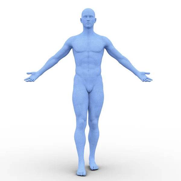 3D CG renderização de um corpo masculino — Fotografia de Stock