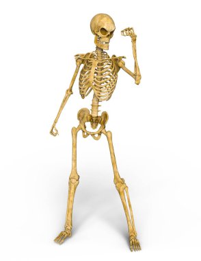 bir iskelet 3d cg render