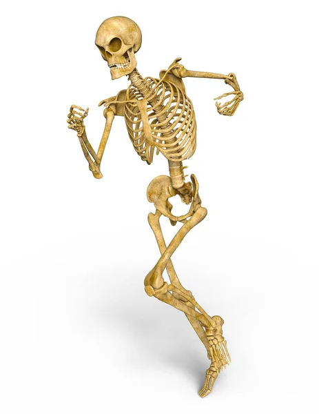 Rendering 3d cg di uno scheletro — Foto Stock
