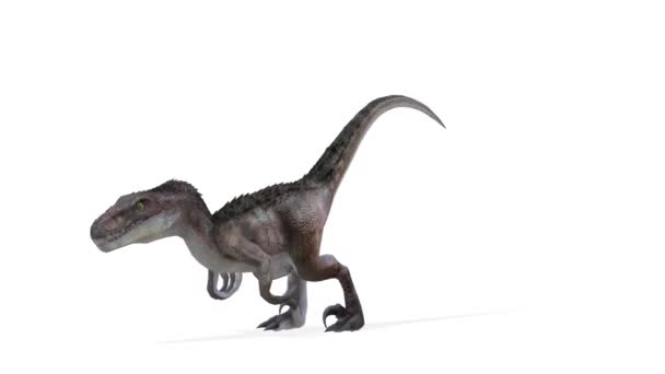 3D-cg rendering van een dinosaurus — Stockvideo