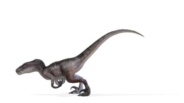 Rendering 3D CG di un dinosauro — Video Stock