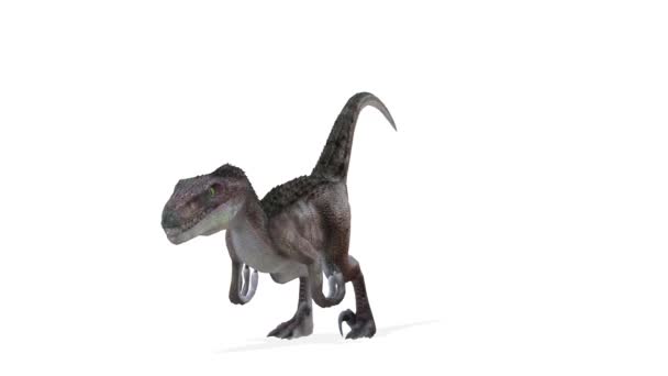 3D-cg rendering van een dinosaurus — Stockvideo