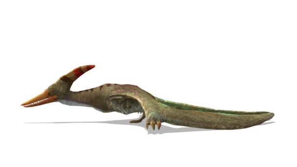 3D-cg rendering van een dinosaurus — Stockvideo