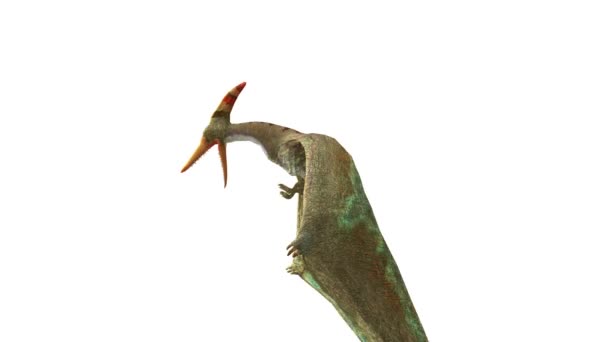 3D rendu 3D d'un dinosaure 